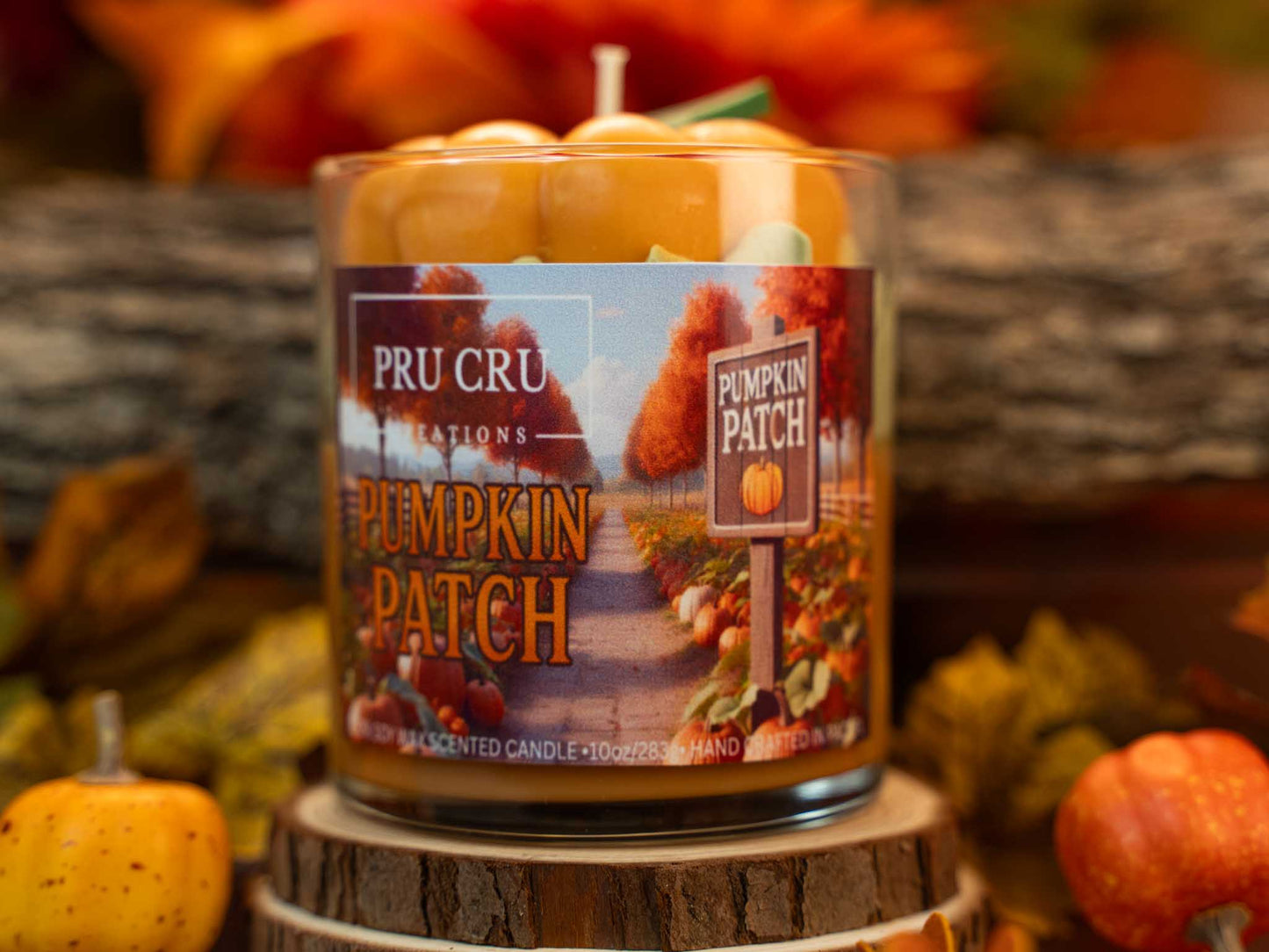 Pumpkin Patch