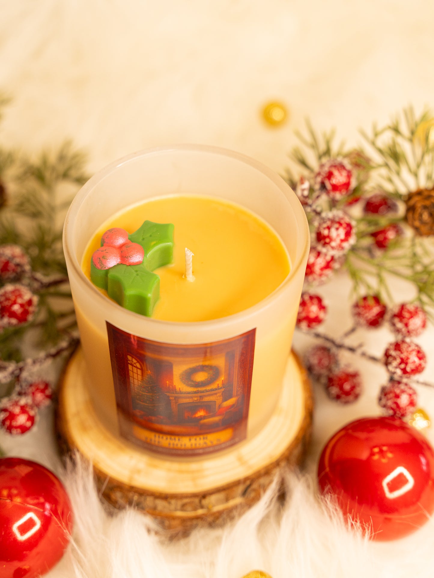 Home for the Holidays