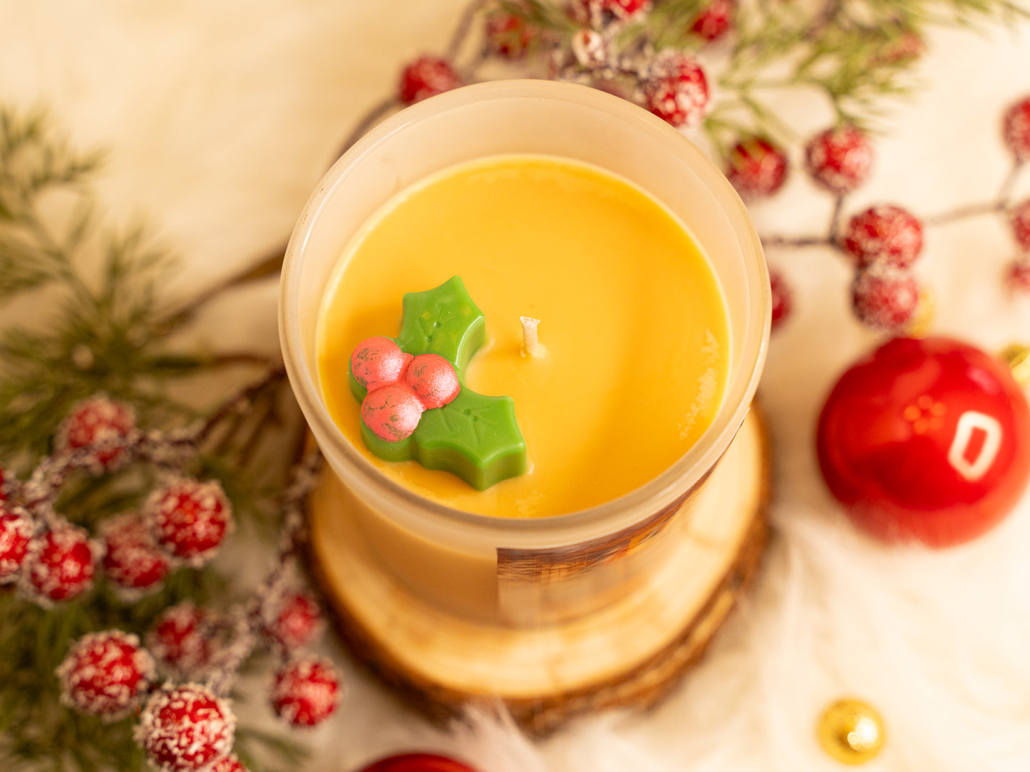 Home for the Holidays